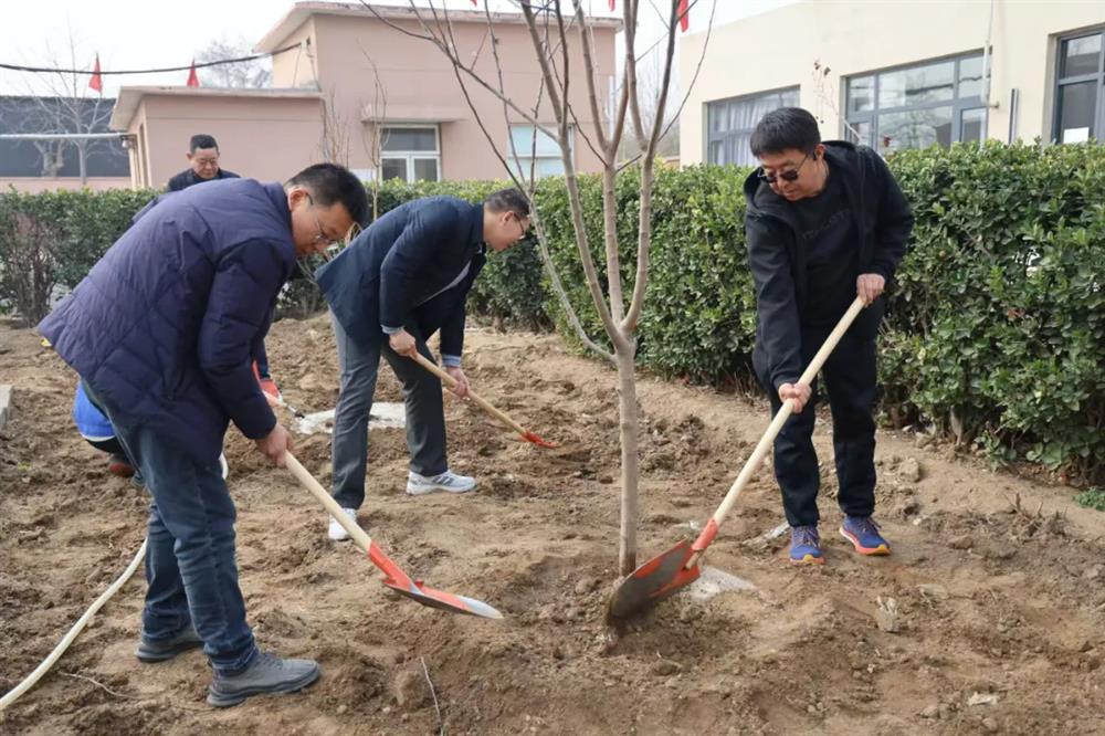 中电建冀交高投登录入口积极开展植树节活动