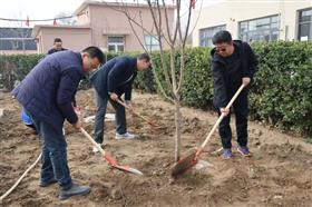 标题:中电建冀交高投登录入口积极开展植树节活动<br/>说明:<br/>日期:2025/3/17 9:10:56